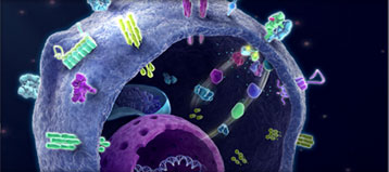 project details - BioOncology.com Redesign